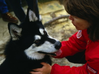 Bark Busters a franchise opportunity from Franchise Genius